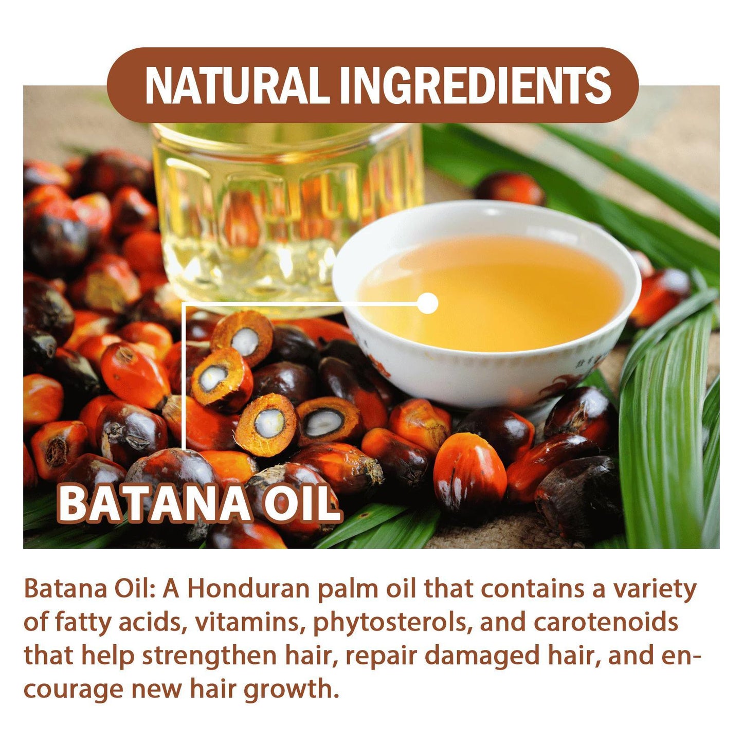 Batana Oil From Honduras - Get Fuller, Thicker, ...


